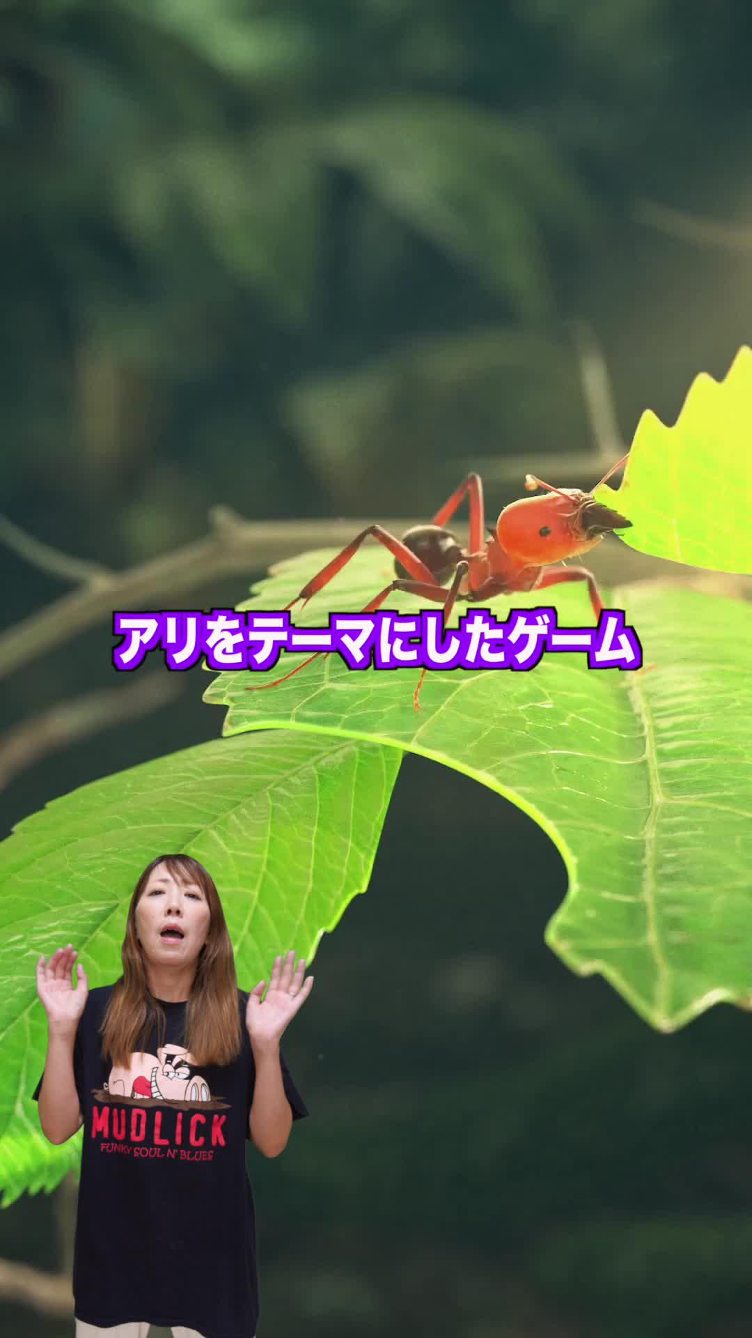 あなたのアリ帝国を築き上げろう