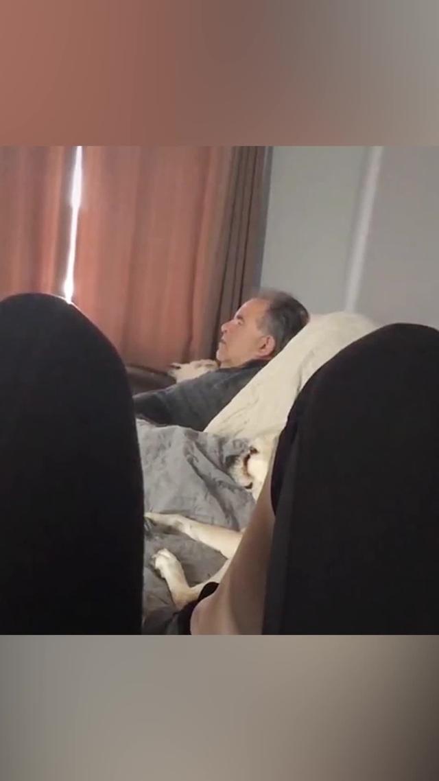 Enjoy 200+ realistic prank sounds to prank anyone