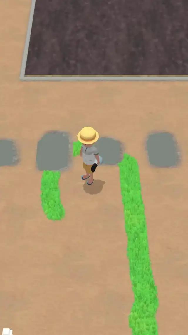 Satisfying garden makeover