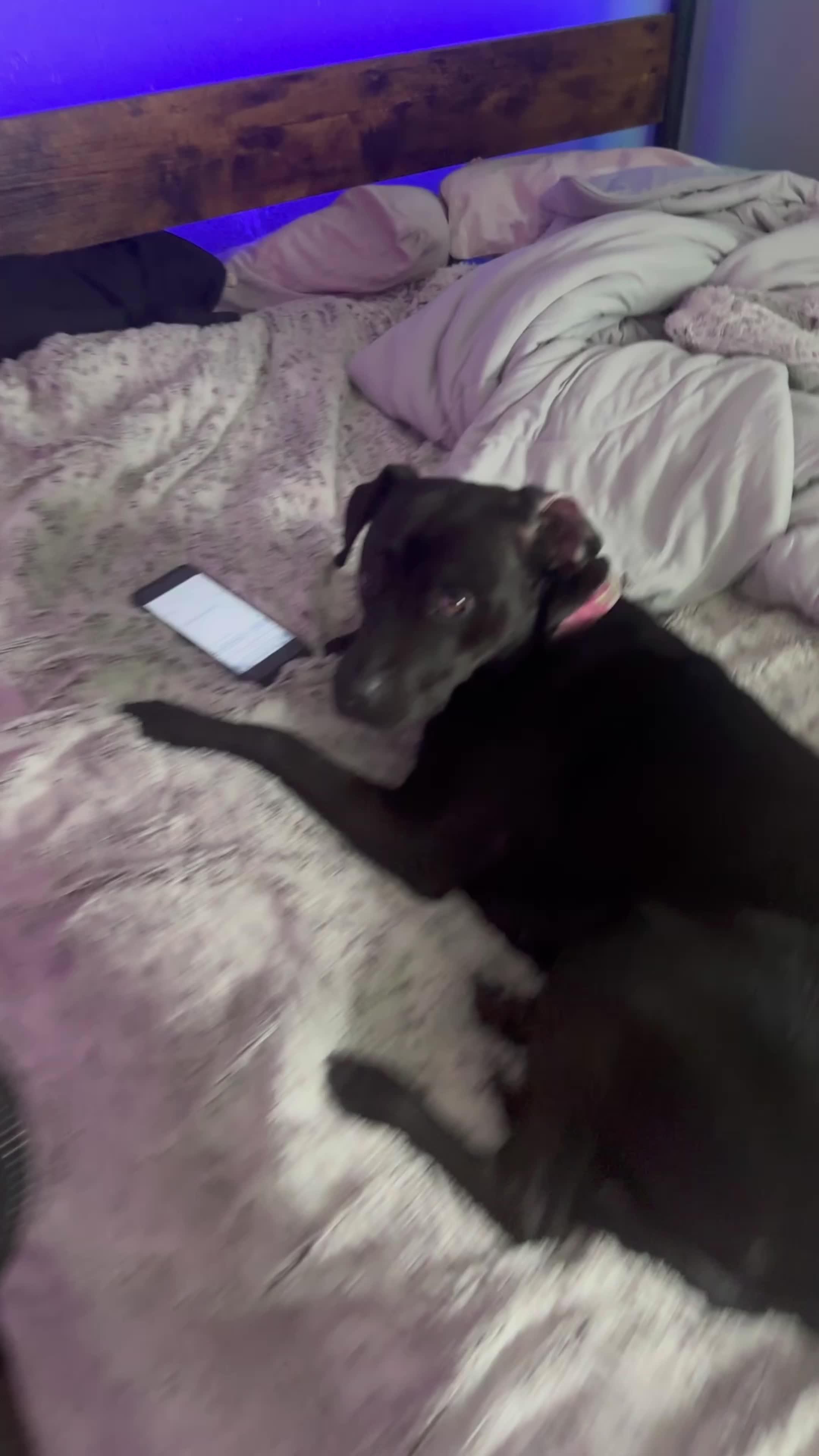 Start using AI straight on your keyboard!