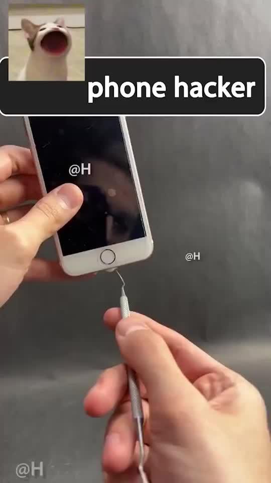 Try this super fun app now