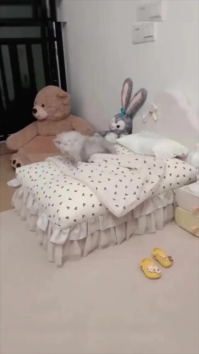 2024 Bester Schlaf-Tracker