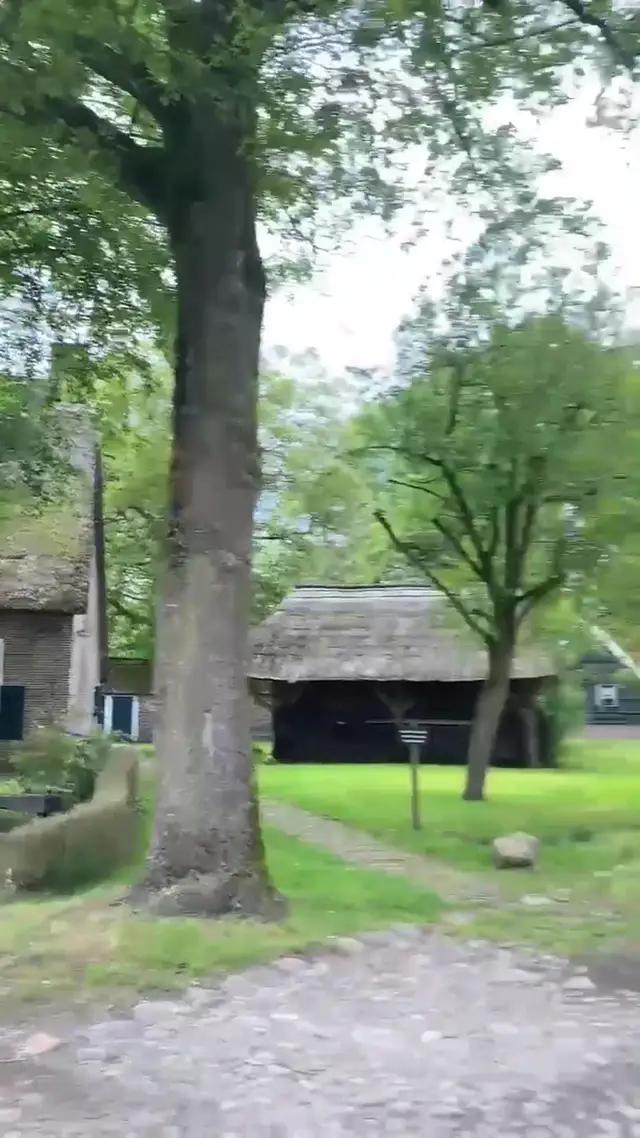 Hay demasiada basura en el teléfono.