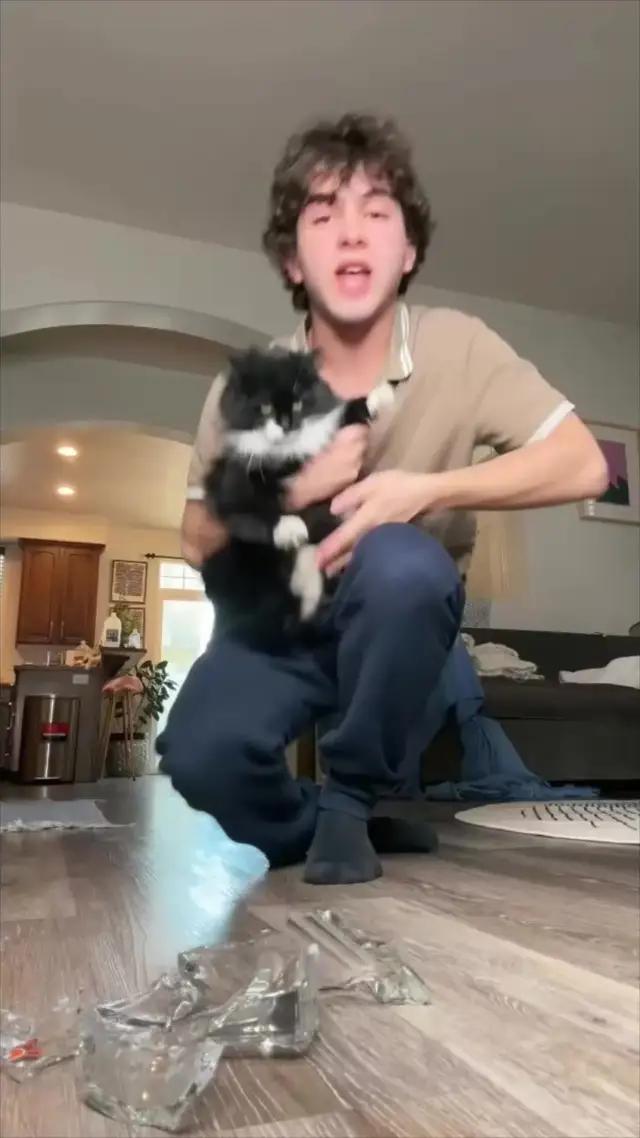 Ringtone magic in your iPhone!