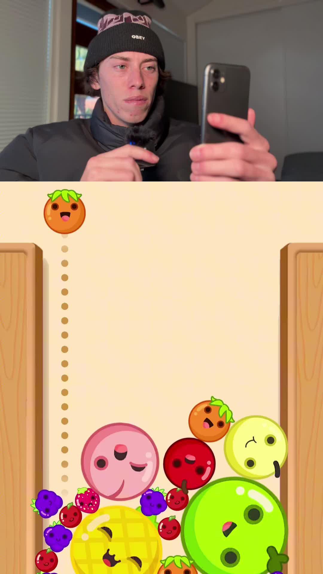 Can you reach the Watermelon?