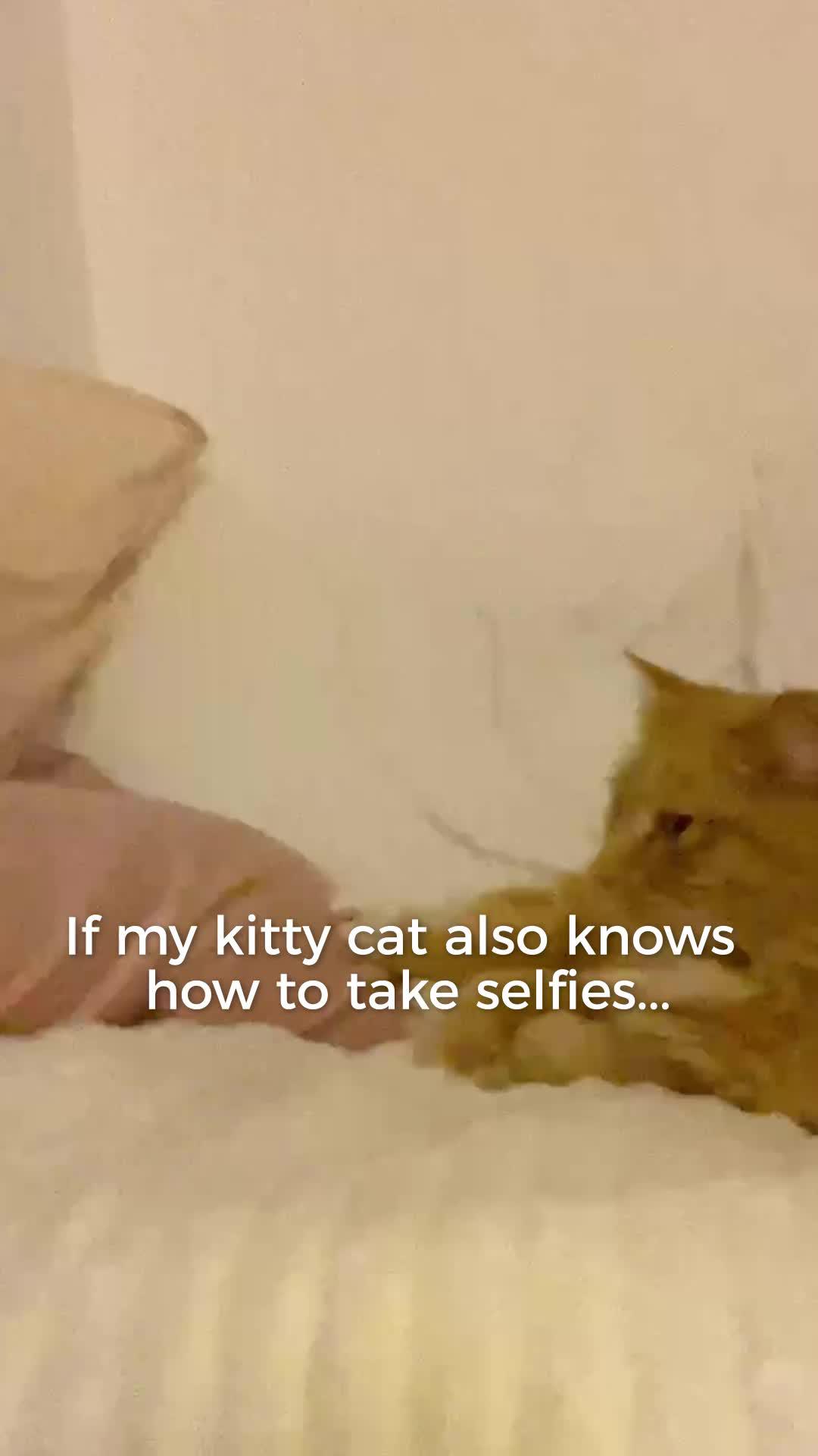 You are really like me #Fr.app #widget #bestieshot