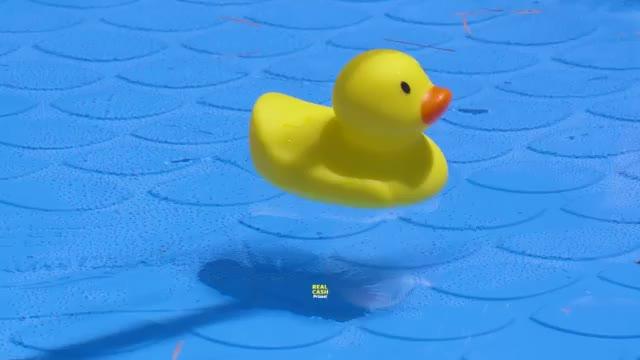 Play Big Cooking Now!