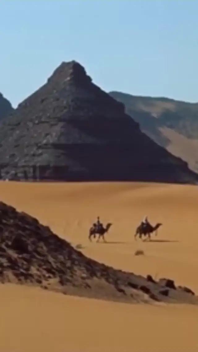 الليل الأسود⁺ هي لعبة هاتف أصلية جديدة وحصرية على الإنترنت! تعال واستمتع بالتجربة