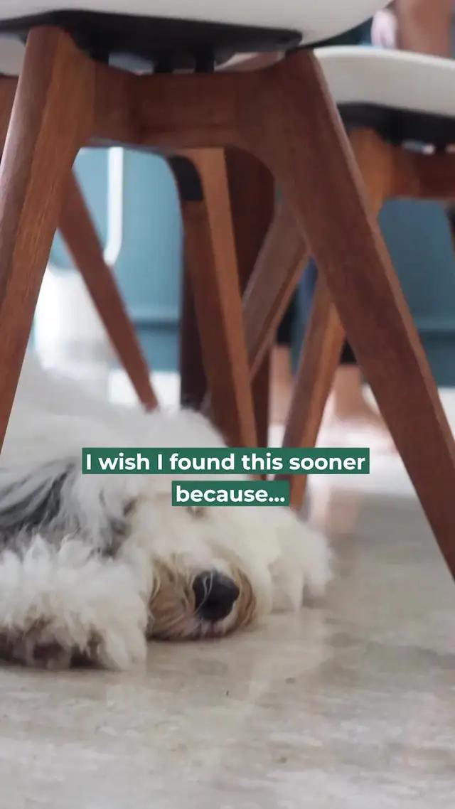 So, I’m obsessed…with how clean my home is.  #pets #hdbbto  #cleaningtiktok #organizedhome #sghomes#sgcleaning #sgcleaningtiktok