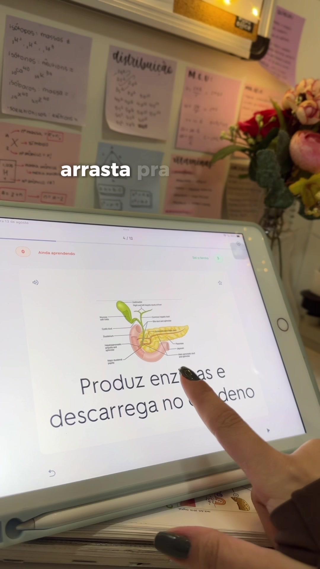 aplicativo gratuito que vai te ajudar a  estudar pro enem 🤑📚✨🫶🏻💖 #quizlet #english #flashcard #learningskill