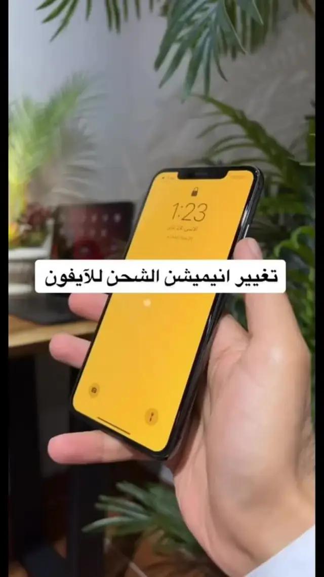 noon Shopping, Food, Grocery