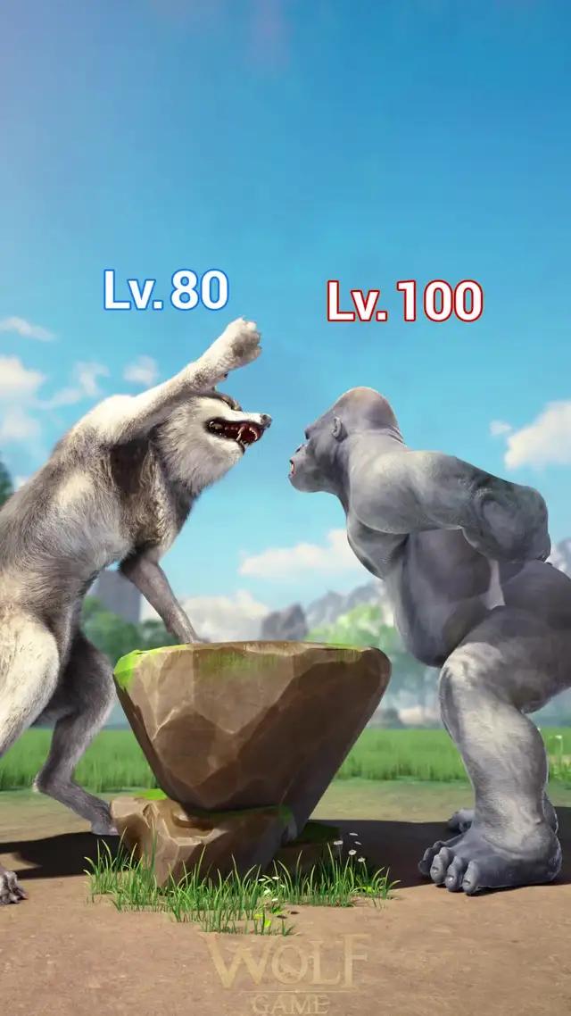 【New Event Alert!】Download the Wolf Game for FREE and get ready to win BIG rewards!