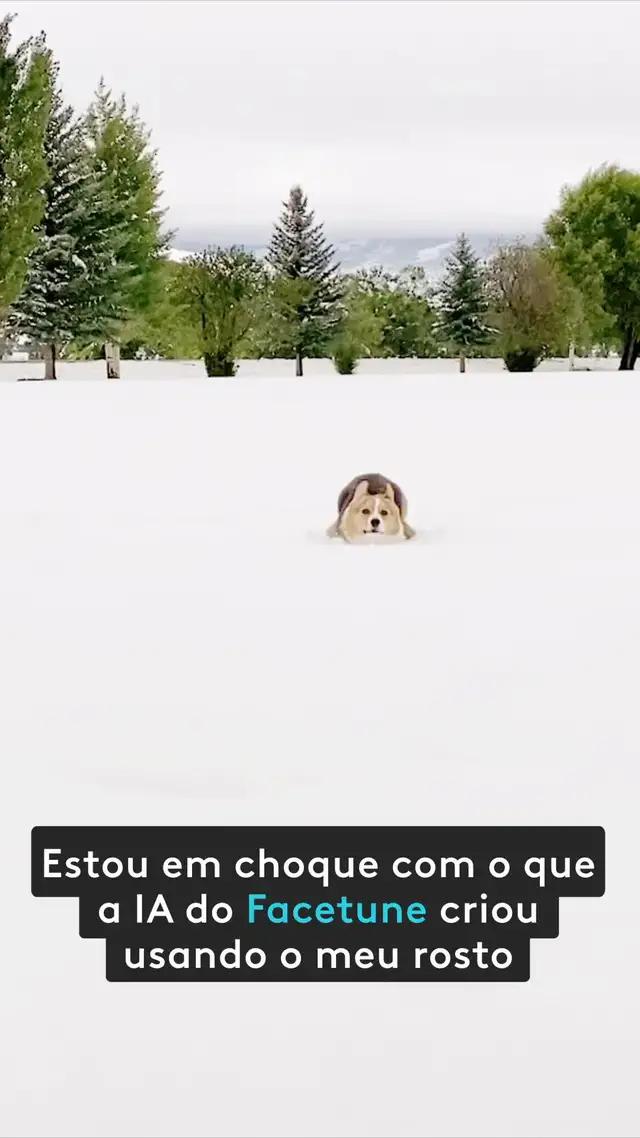 Esta ferramenta de IA é inacreditável!
