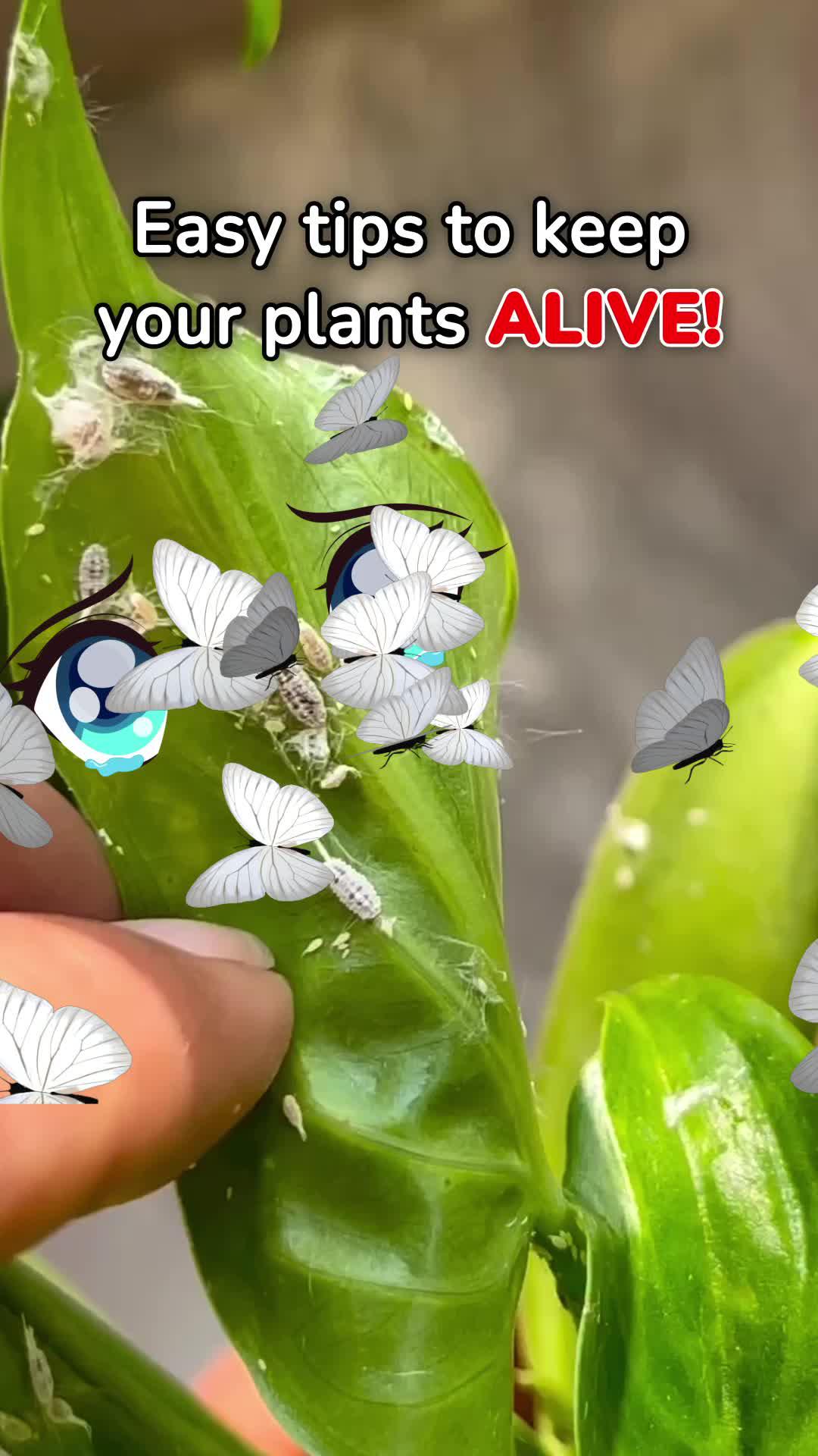 Identify any plant & diagnose plant diseases instantly!