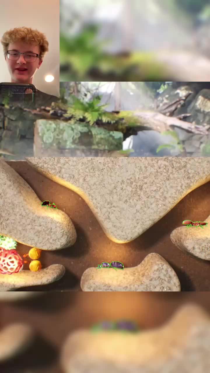 Join The Ants and start your legend!