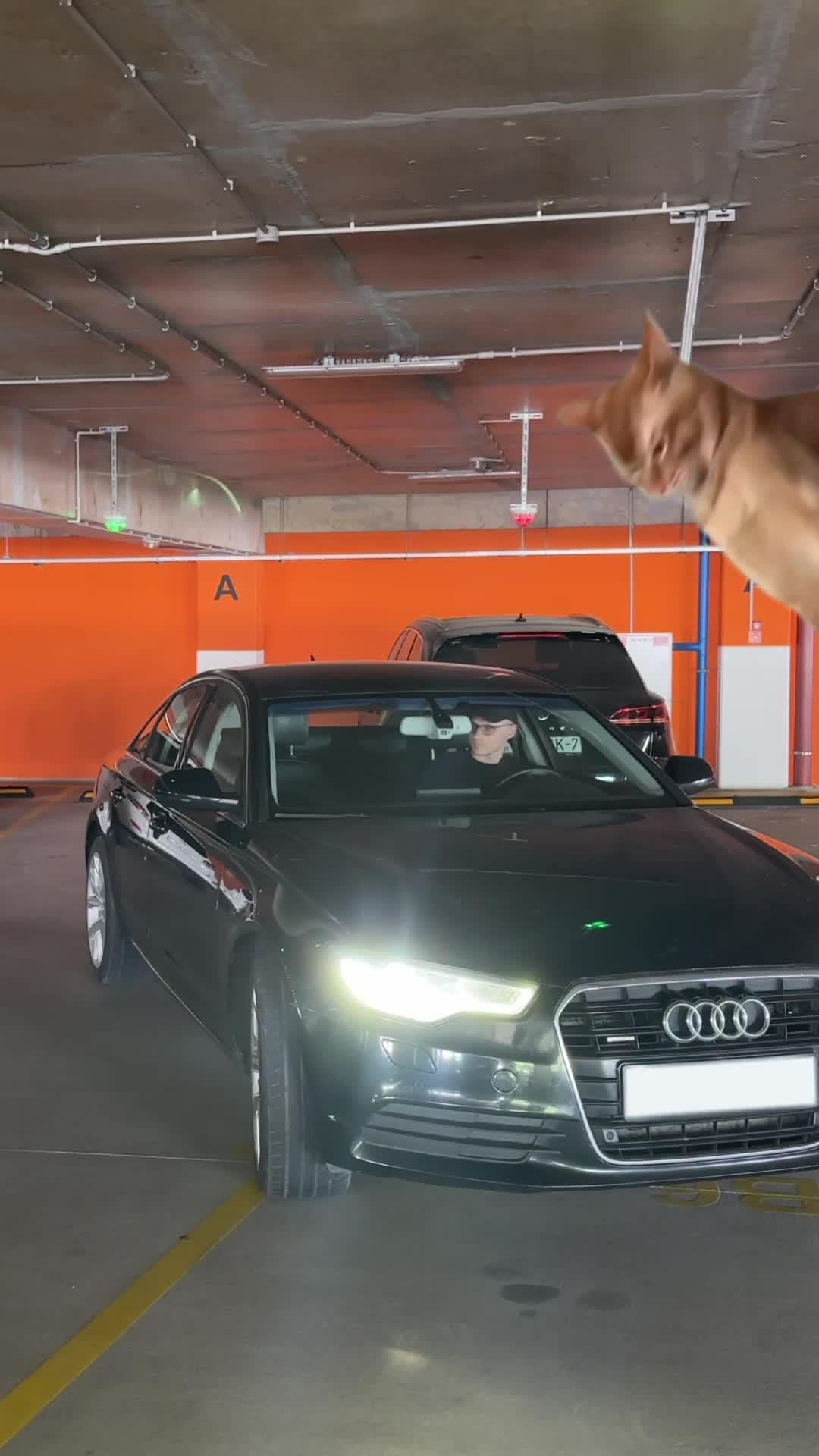 Experience the convenience of our innovative "3D Snap" app. Try it for free now with our 3-day trial