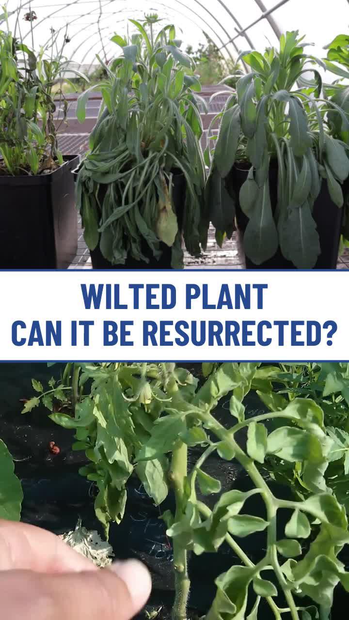 Free time part-time income