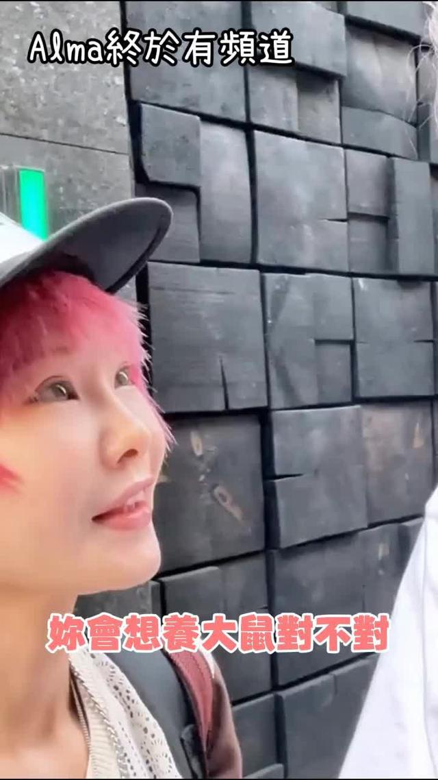 經營鼠鼠商超，解鎖超萌倉鼠