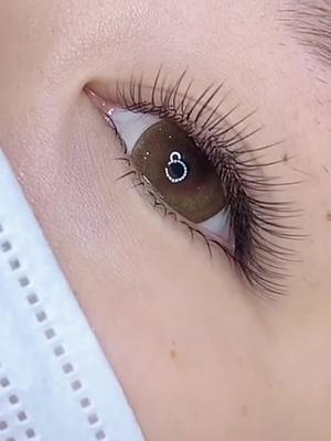 Fixed Prices, Order Directly