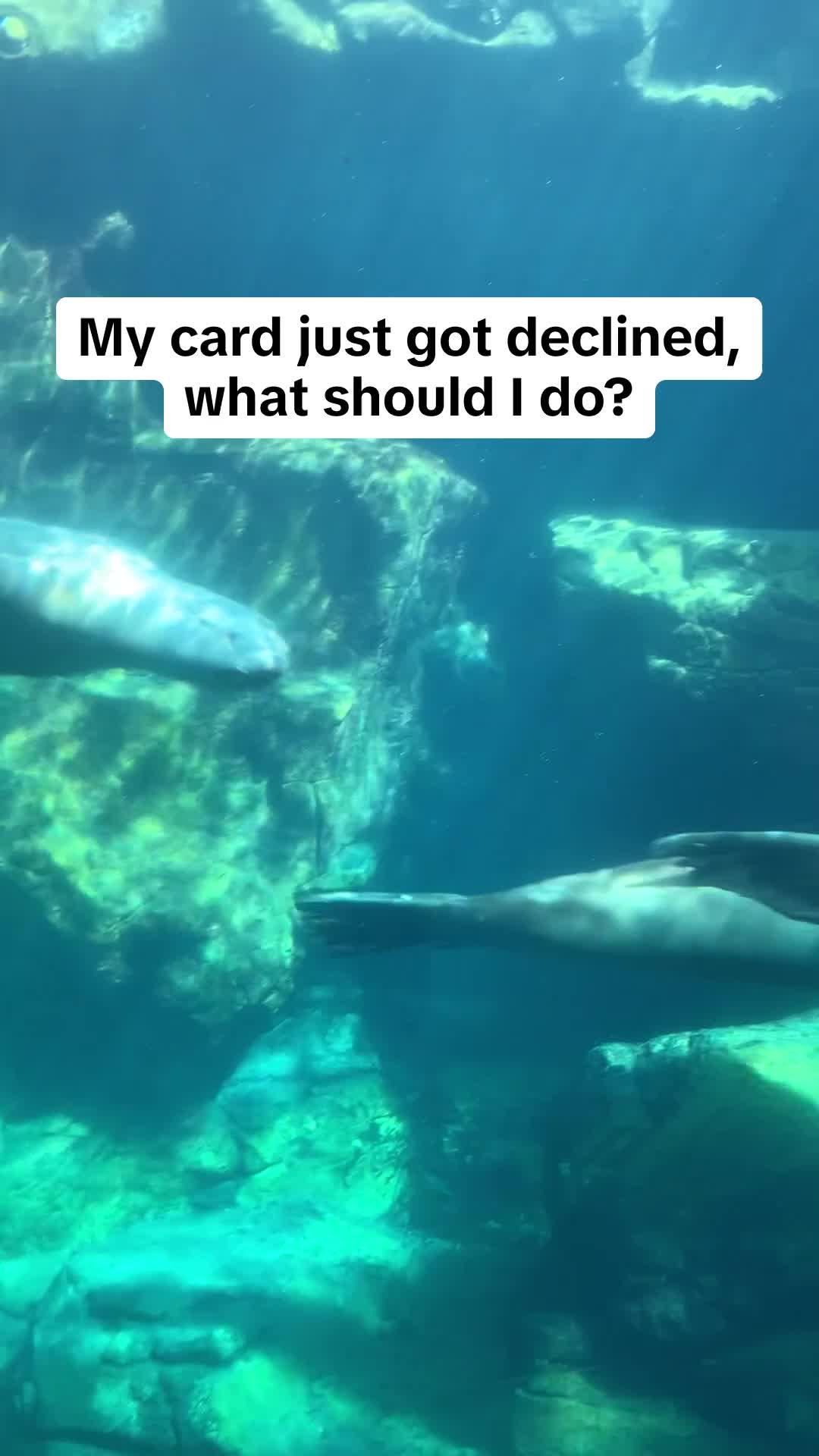 This app sends you up to $250