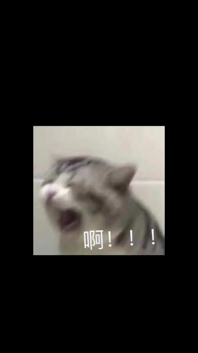 趕快加入【小小仙尊】的行列，和我們一起踏上修仙之路，成就仙人夢想！