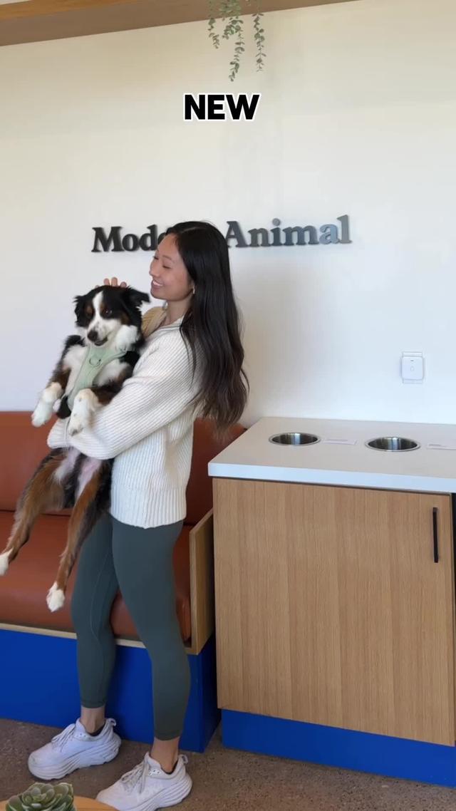 Dallas pet owners - Use my code SHELIA for a FREE All Access vet clinic membership*