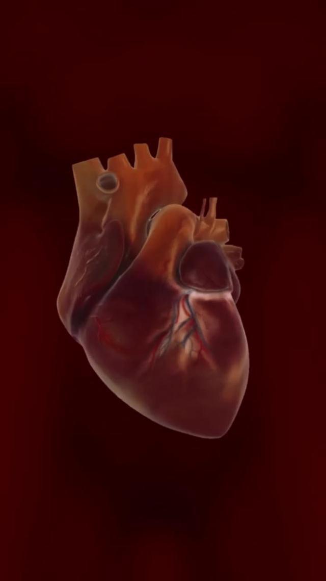 Easily check your heart rate with Heart Rate!