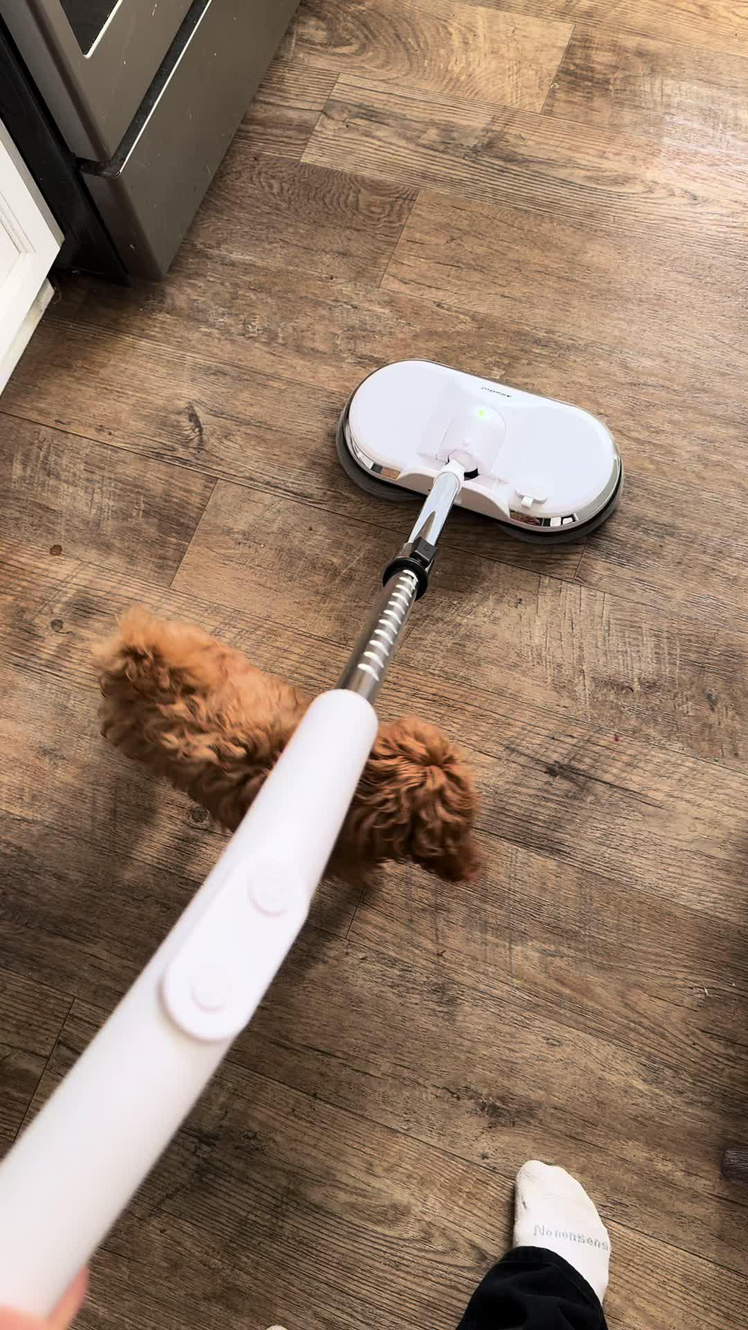 Cleaning can actually be fun lol