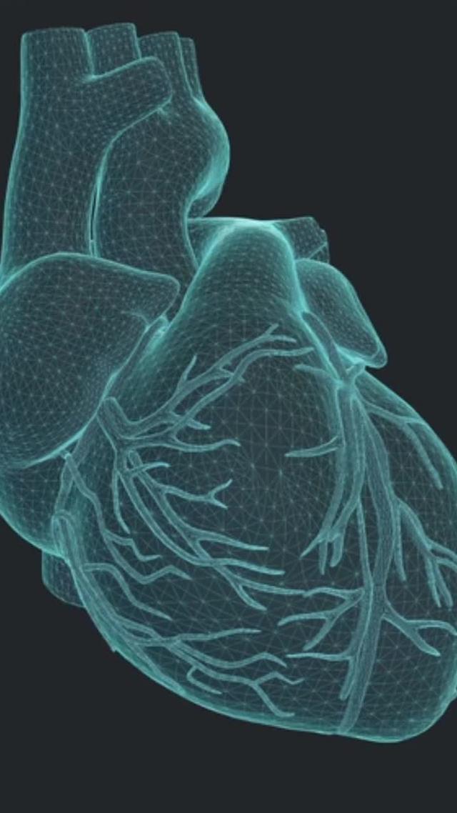 Easily check your heart rate with Heart Rate!