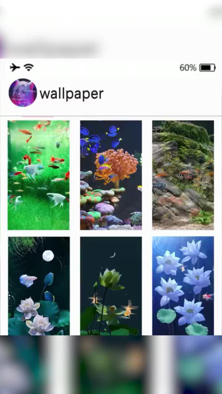 Free to download and use