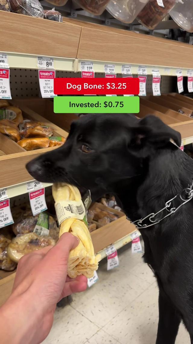 Acorns makes it easy to start saving and investing for your future. Get started today! #fyp #trending #finance #fintok #moneytok #finance101 #invest #money #investing #compoundinterest #retirement 