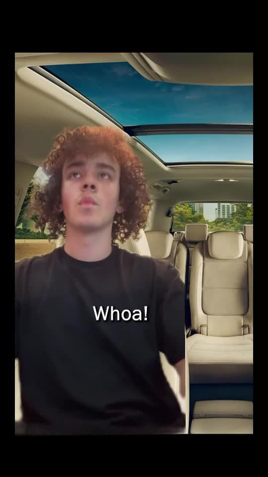 Ace your permit test and master behind-the-wheel training now!