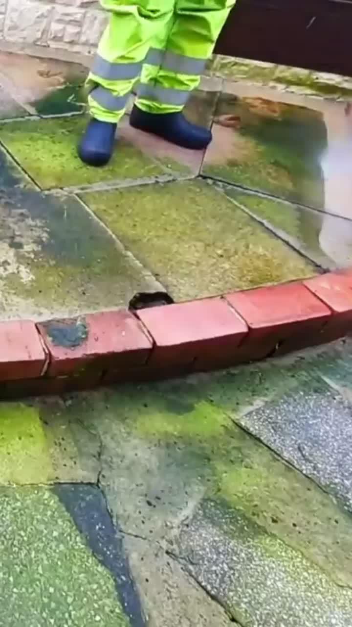 Join the party, rule the night