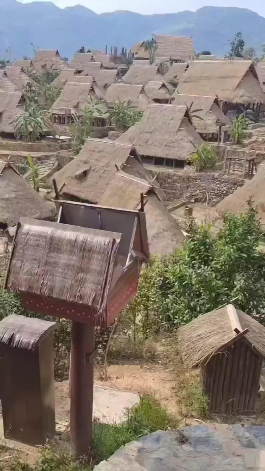 Explore Your Neighborhood, Connect with Locals, and Share your Experiences on Playsee.