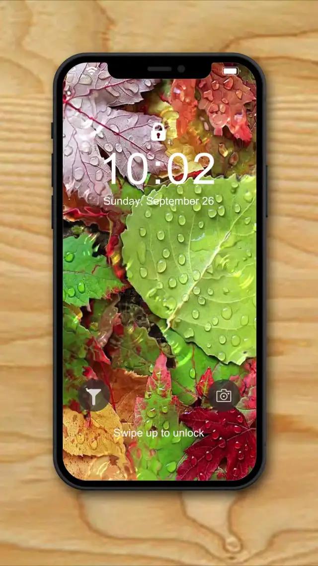 It's time to change the Wallpaper! 