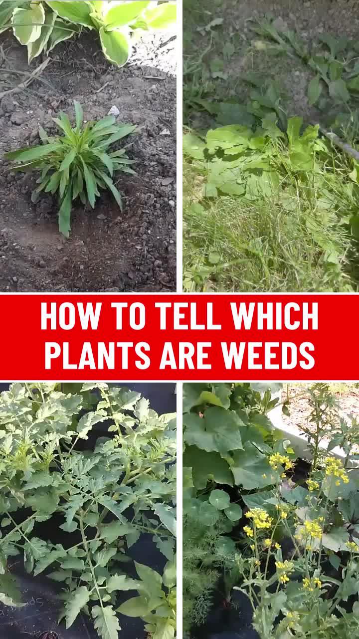 Free time part-time income