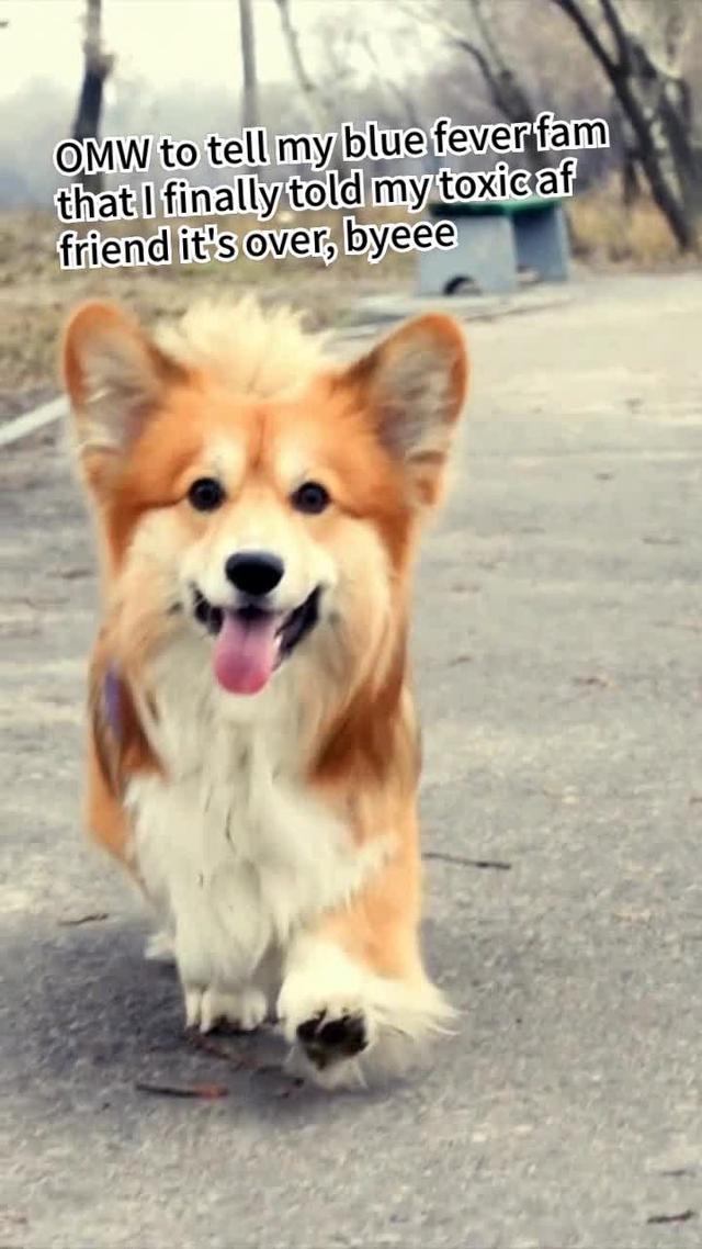 what's blue...? a new toxic-free, best-listeners-ever community. join us <3