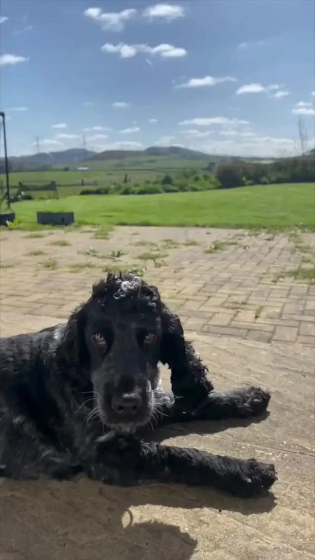 The Biggest Horse Game Online!