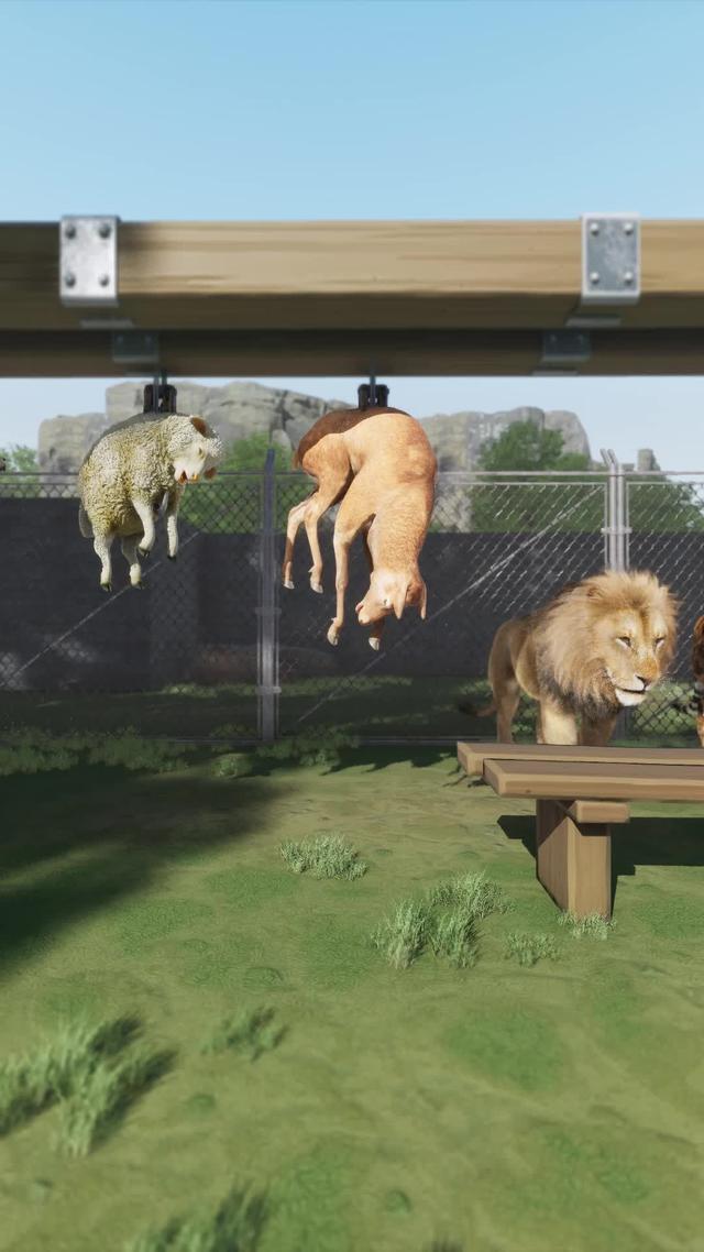 Become the wolf lords, rise to the top of food chain.