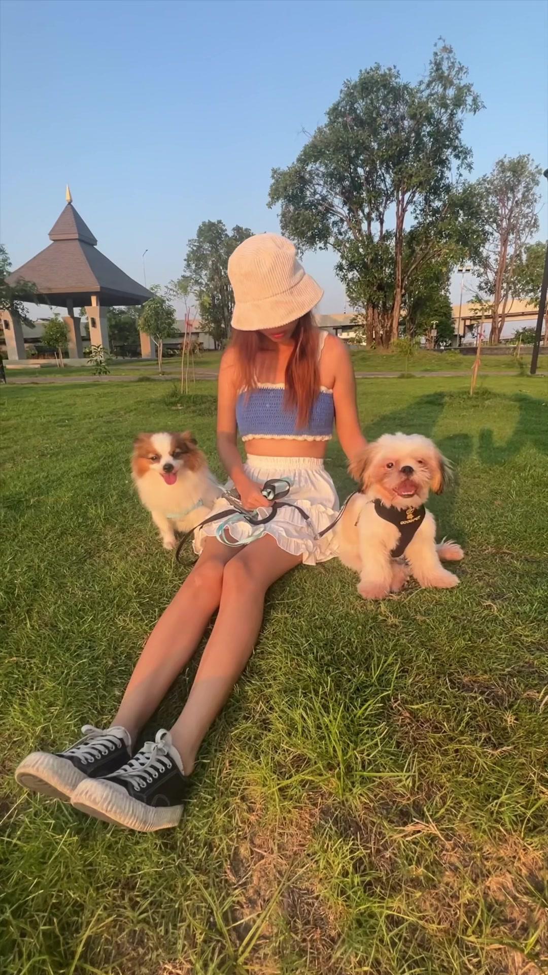 แฟชั่นพาหมาไปเดินเล่นแบบสับ🤣 #malonthecats #malonfamily #สวนสัตว์tiktok #มาลอนเดอะแคท