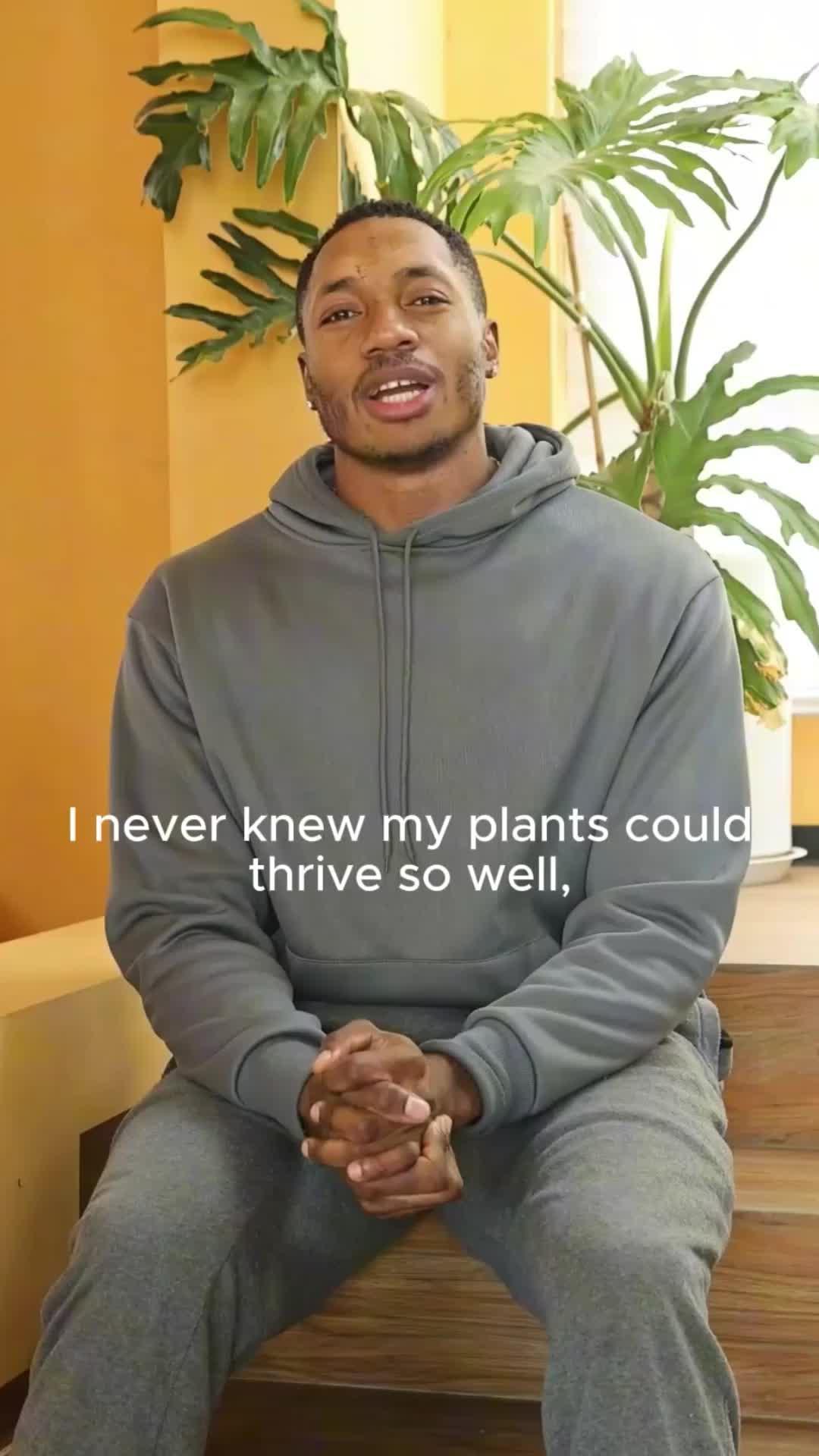 Need tips for reviving a dying plant?