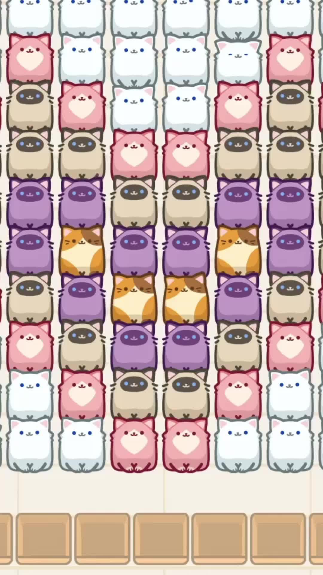 Cute Box Cats - Play Now!