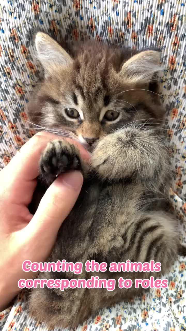 Decorate, attract guests, and build a cute and luxury restaurant!