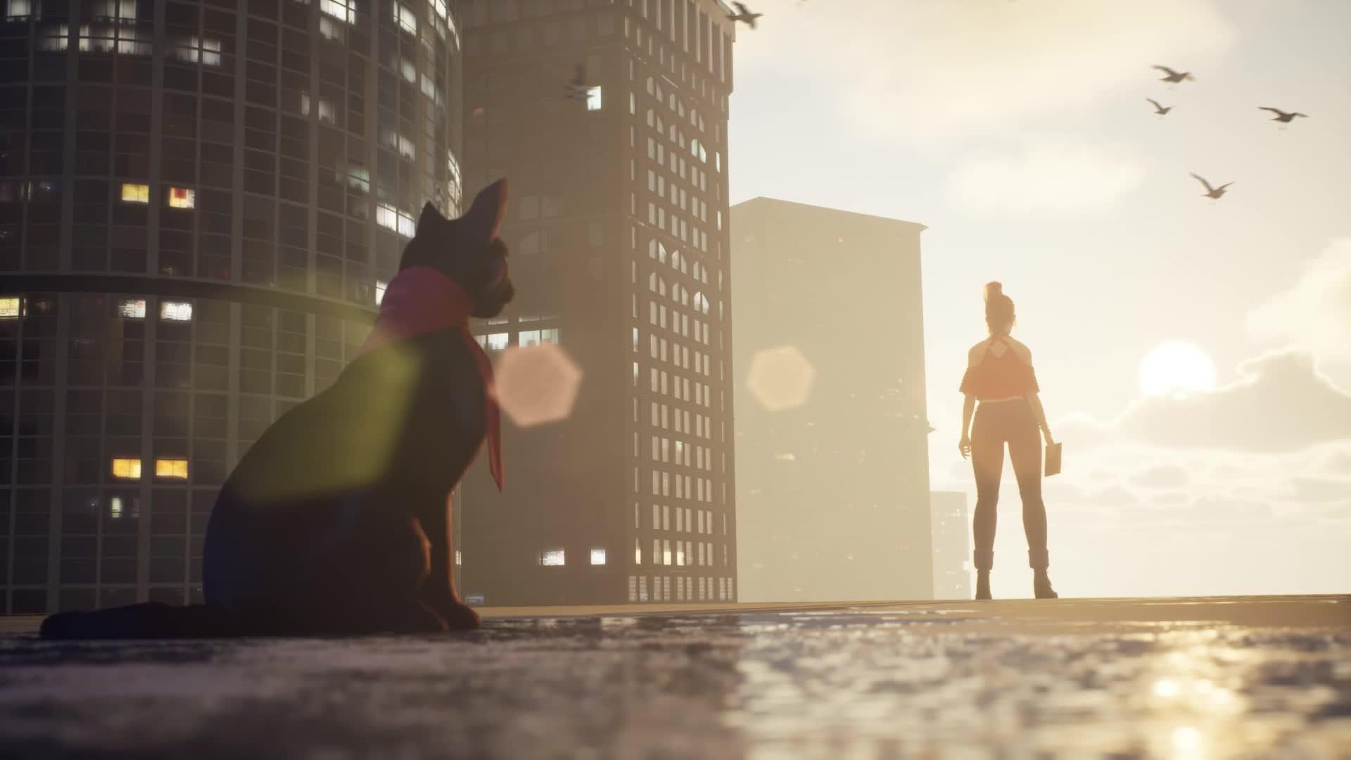 Experience a unique adventure in this fantasy world.