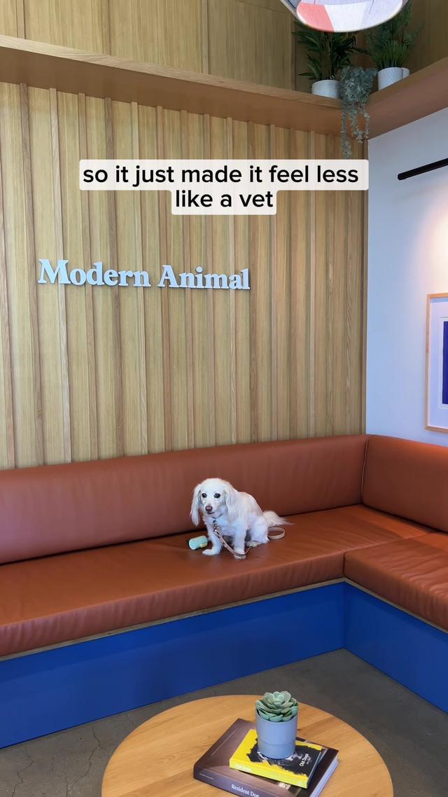 Come with us to get Penny’s annual checkup at her new vet in LA @Modern Animal  We are happy to be partnering with them to give you $100 off the All Access Membership (typically $199, now $99) with code PENNY100 *New Clients Only* Penny needed to get all her vaccinations updated and her blood drawn and the team was so kind and patient. What I love about Modern Animal is their annual membership which gives you unlimited exams including urgent care, 10% off all services and you get access to any of their locations.  And did I mention, they had iced coffee and sparkling water for the humans? That’s what I call ✨upscale✨ Highly recommend if you are looking for a new vet! Check out modernanimal.com for more info and to book your first appointment 📱 #modernanimalpartner #modernanimal  #dogsofinstagram #dogparent #vets #dogsoflosangeles 