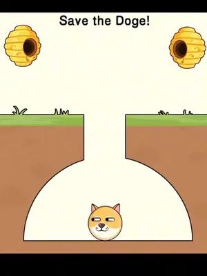 Save the dogs!