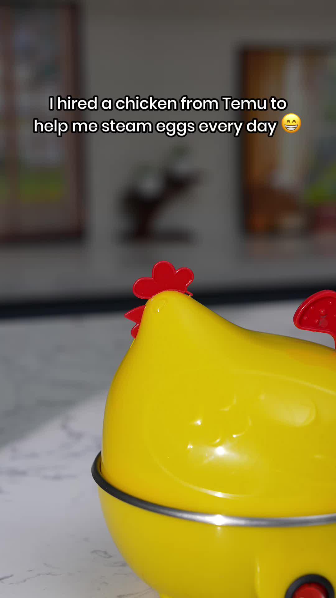 🐔 I hired a chicken from Temu to help me steam eggs every day. 😁🔎 Search dpj3393 on Temu for this amazing product. #Temu #TemuFinds