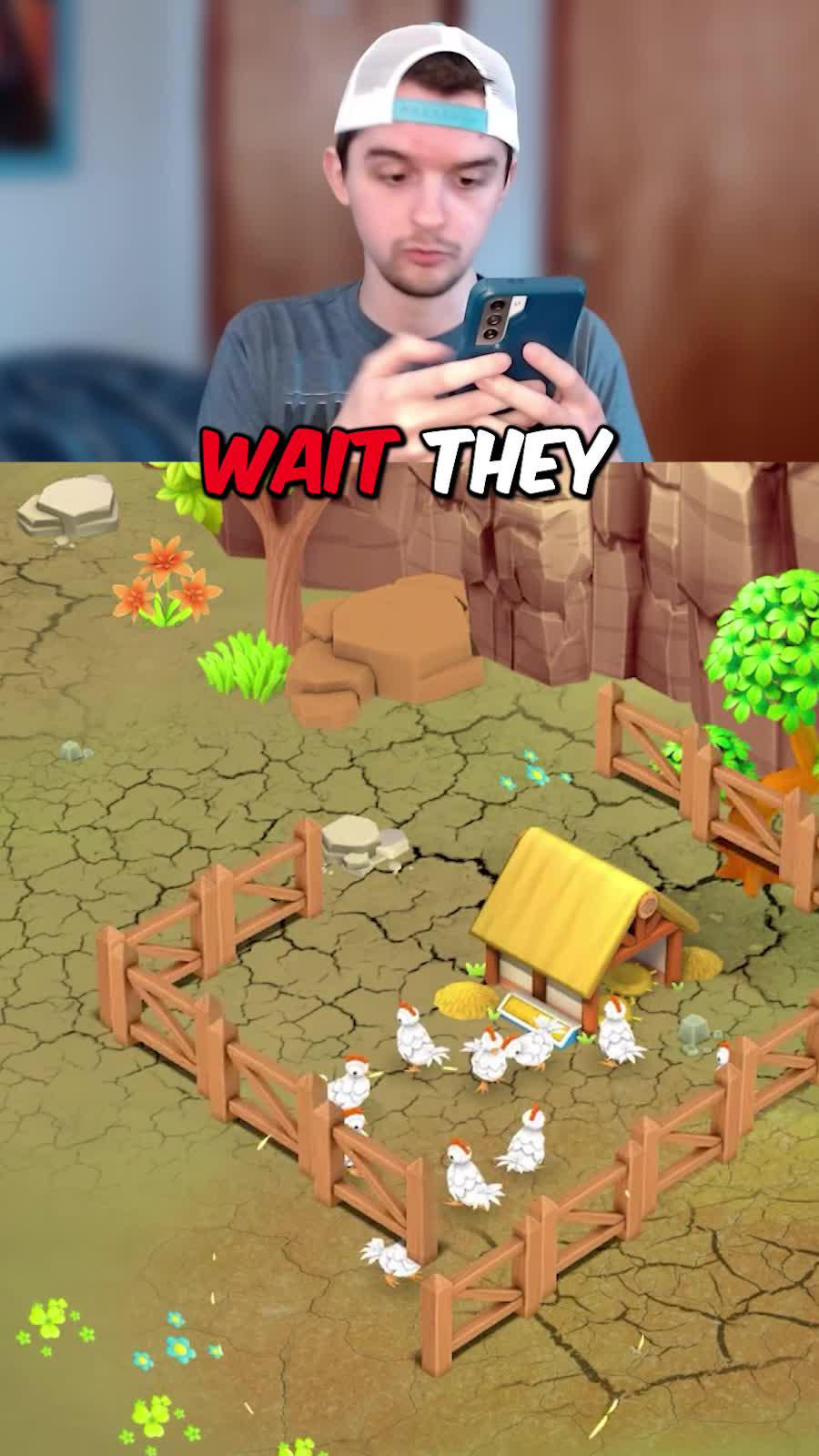 Experience an island farm