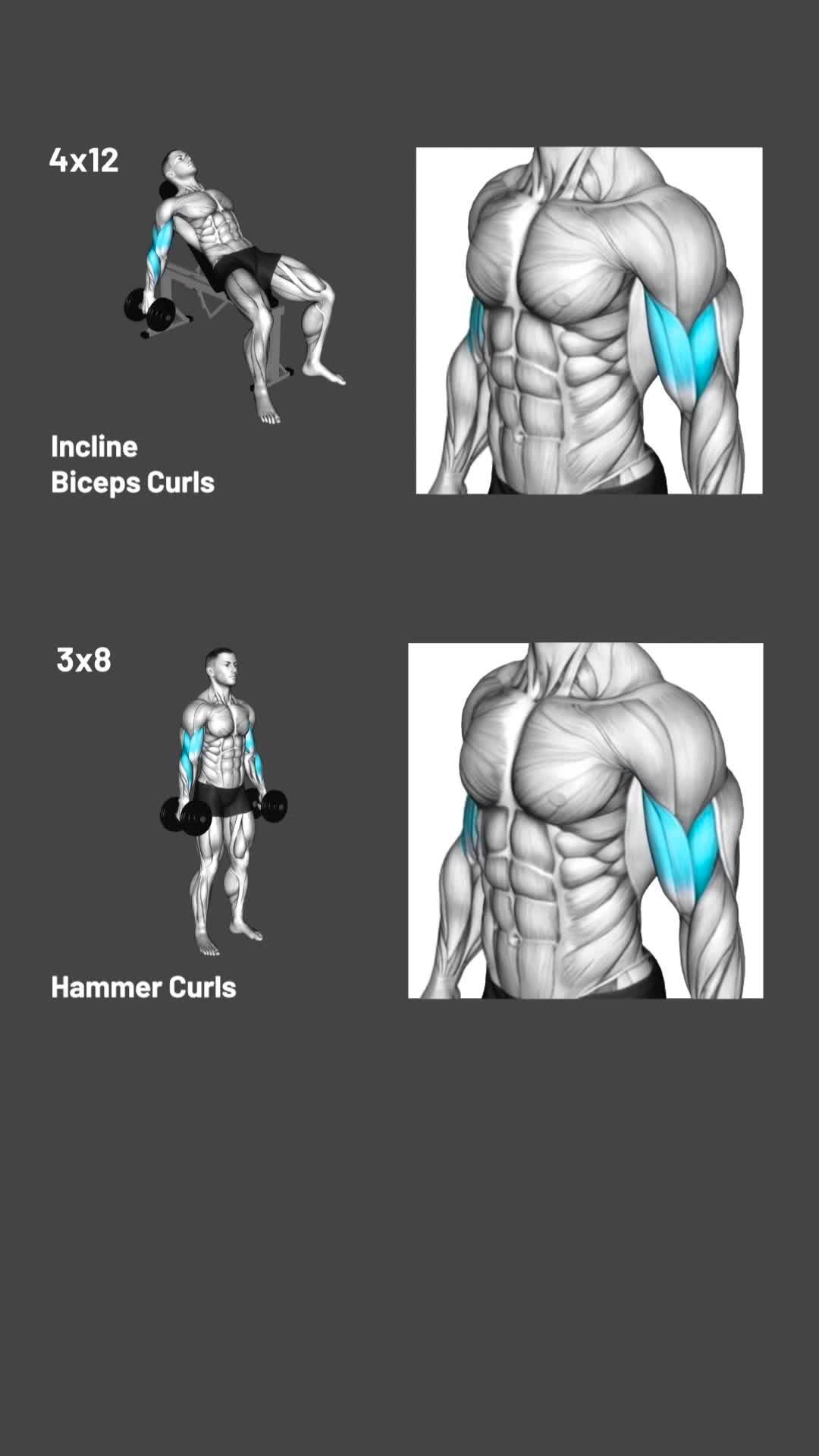 Get your personalized workout plan!