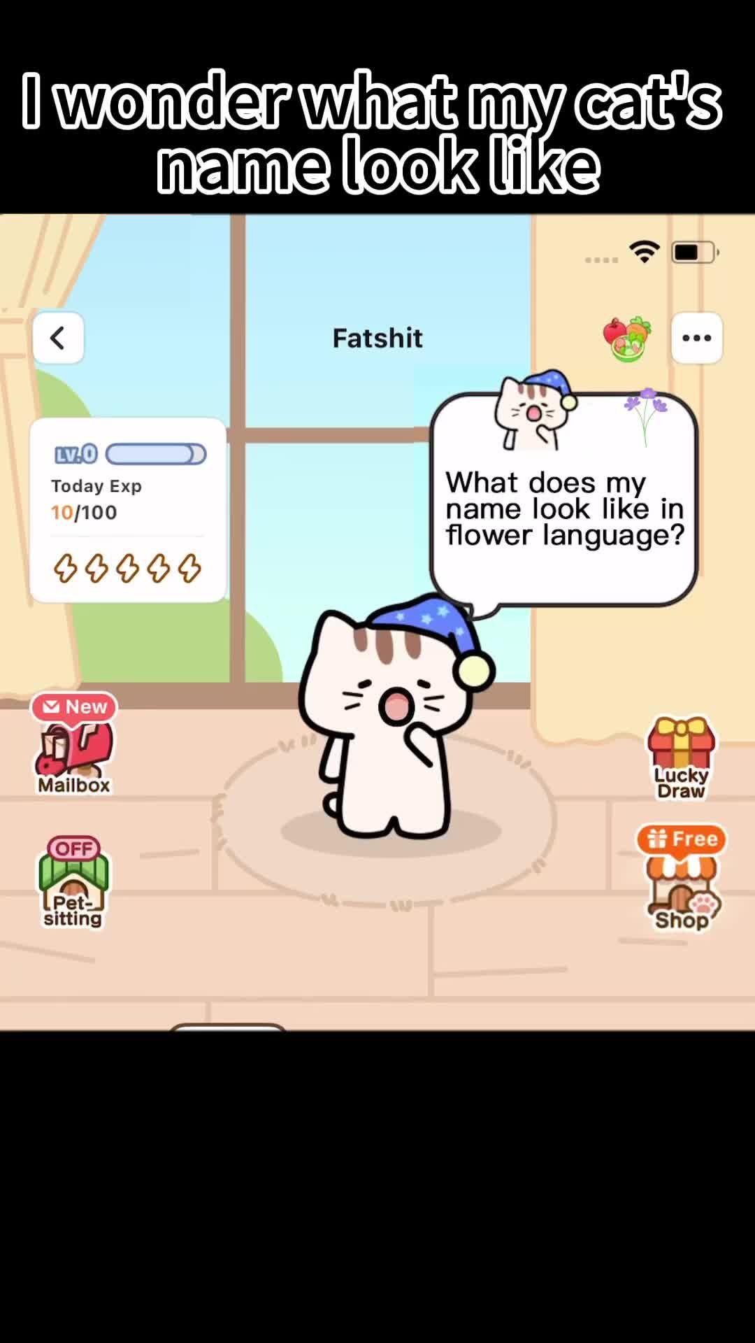 flower language wallpaper